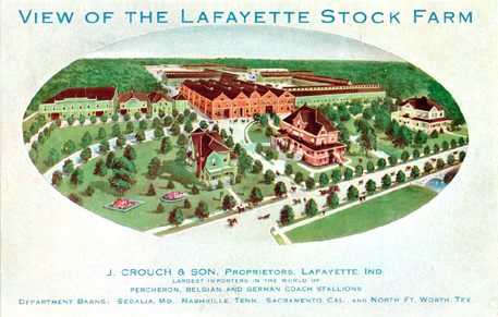«LaFayette Stock Farm postcard»
